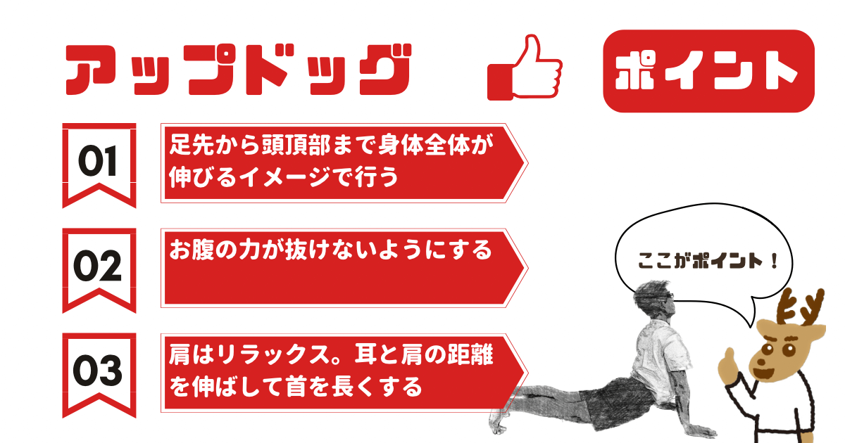 アップドッグのポイント