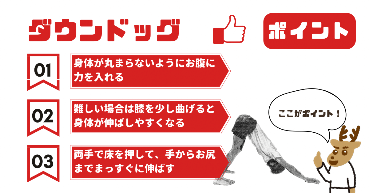 ダウンドッグのポイント