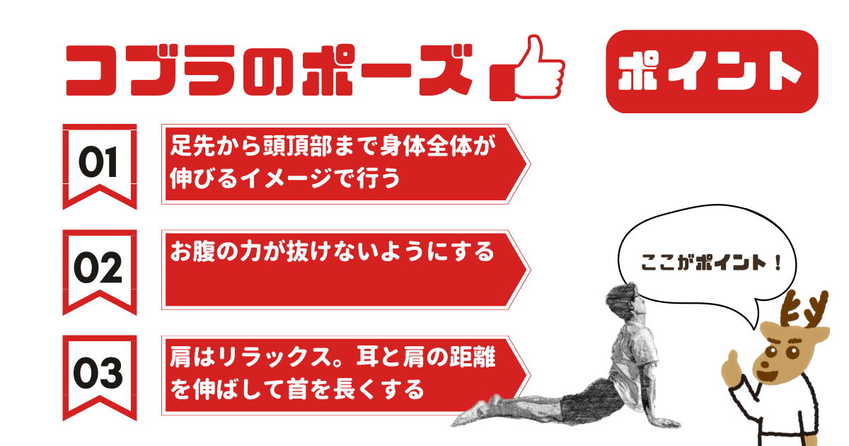 コブラのポーズのポイント