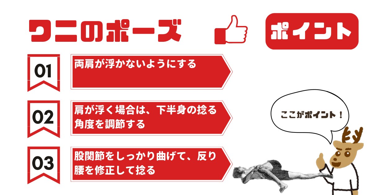 ワニのポーズのポイント