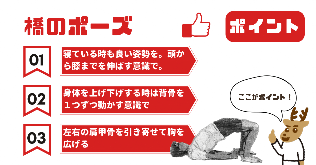 橋のポーズのポイント