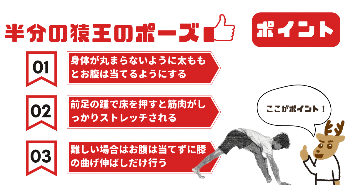 半分の猿王のポーズのポイント