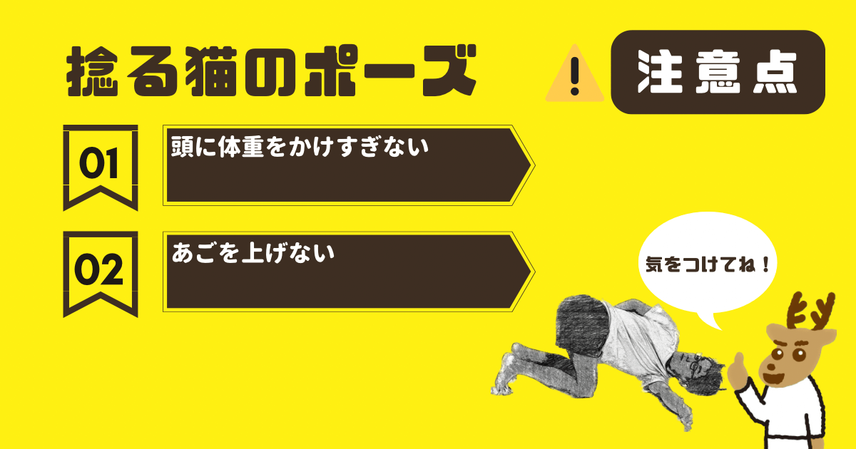 捻る猫のポーズの注意点