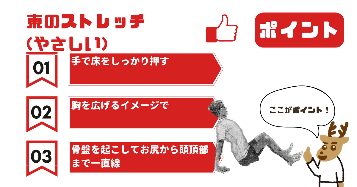 東のストレッチのポイント