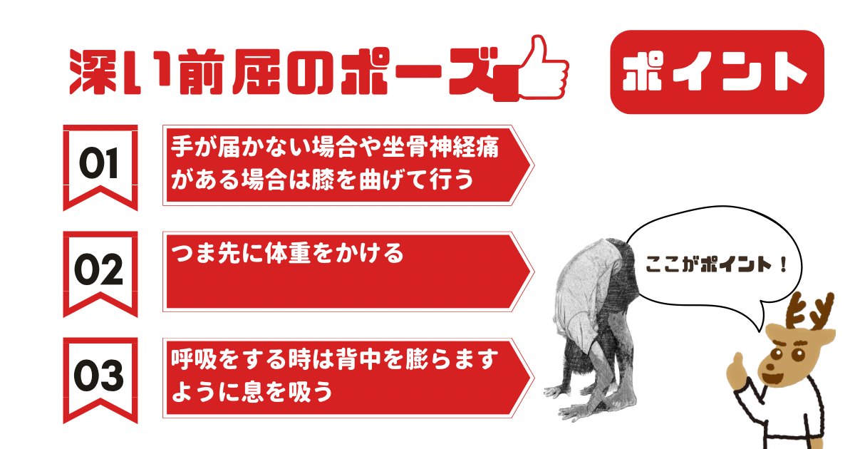 深い前屈のポーズのポイント