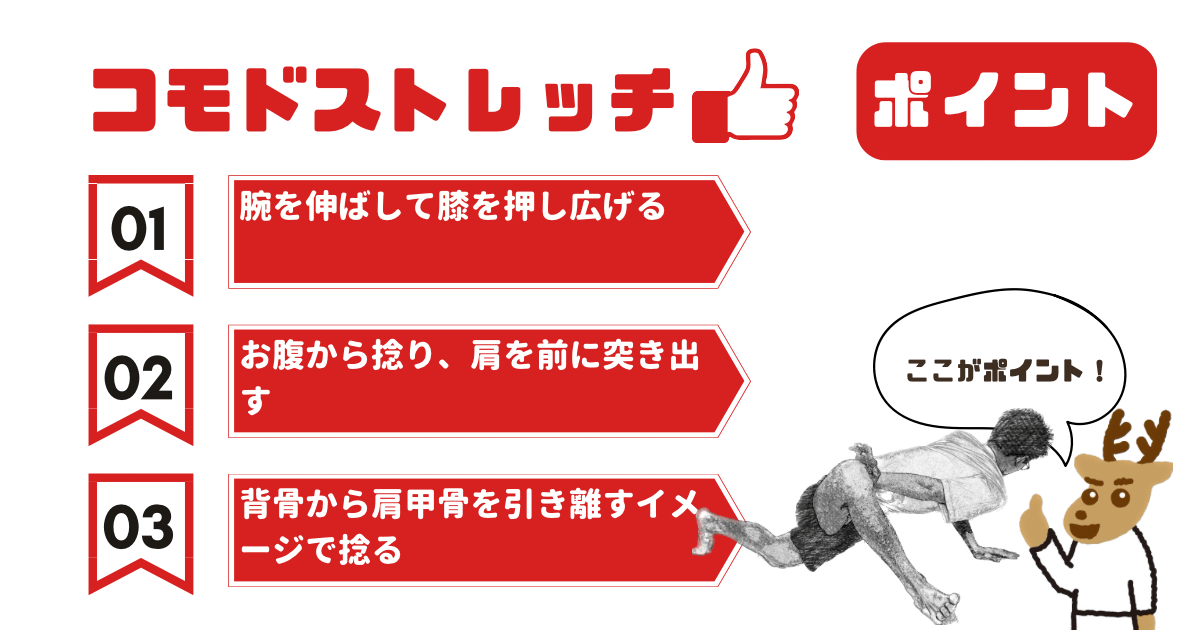 コモドストレッチのポイント