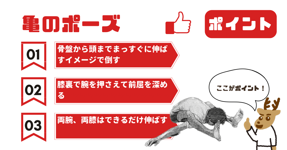 亀のポーズのポイント