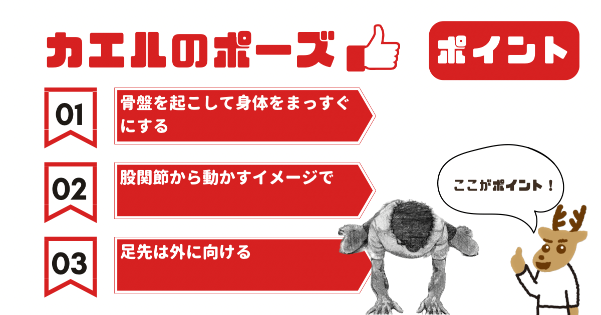 カエルのポーズのポイント