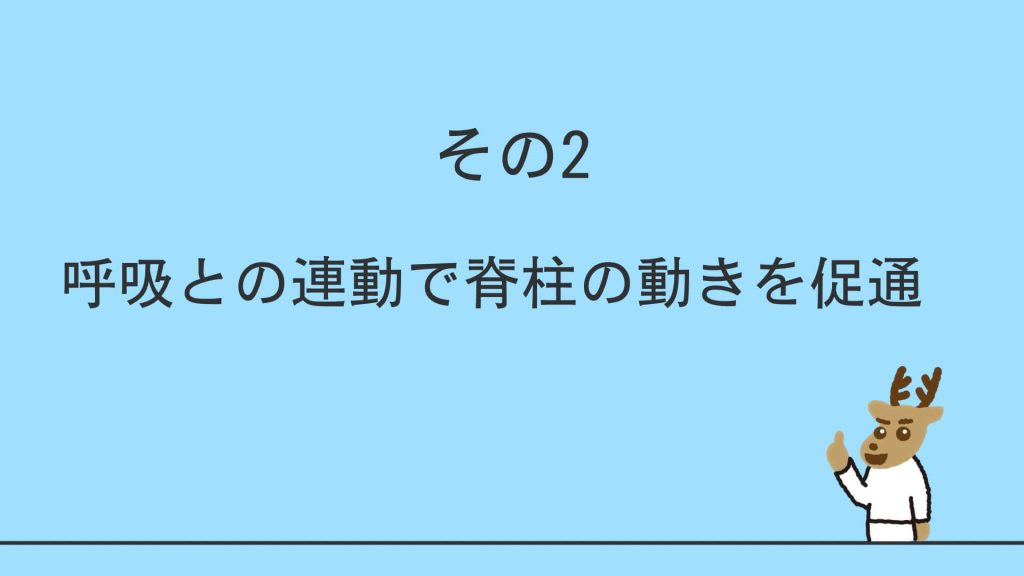 呼吸との連動で脊柱の動きを促通